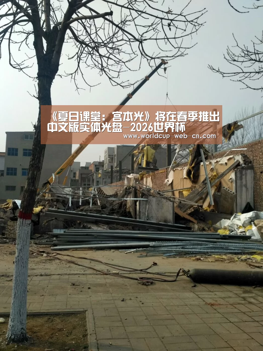 《夏日课堂:宫本光》将在春季推出中文版实体光盘-2026世界杯(图2) 球队资讯