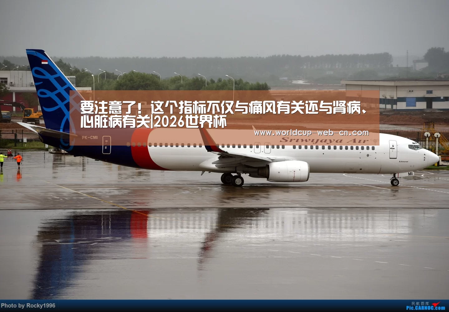 要注意了!这个指标不仅与痛风有关还与肾病、心脏病有关|2026世界杯(图1) 球队资讯