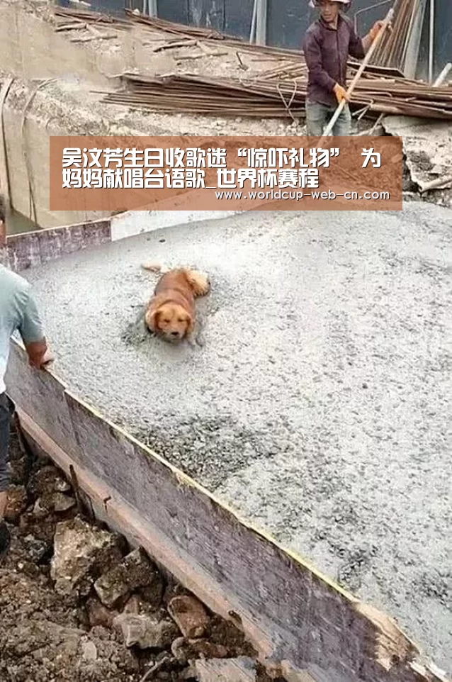 吴汶芳生日收歌迷“惊吓礼物” 为妈妈献唱台语歌_世界杯赛程(图2) 球队资讯