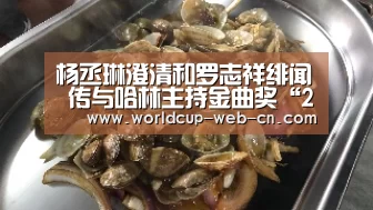 杨丞琳澄清和罗志祥绯闻 传与哈林主持金曲奖“2026世界杯”(图4) 世界杯赛程