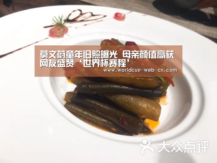 莫文蔚童年旧照曝光 母亲颜值高获网友盛赞‘世界杯赛程’(图1) 2026世界杯