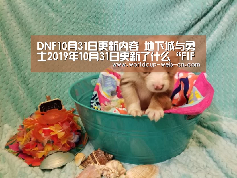 DNF10月31日更新内容 地下城与勇士2019年10月31日更新了什么“FIFA世界杯”(图1) 球队资讯