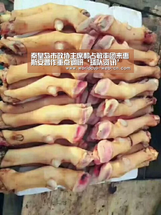 秦皇岛市政协主席郝占敏率团来惠斯安普作重点调研‘球队资讯’(图3) 世界杯赛程
