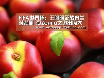 2026世界杯