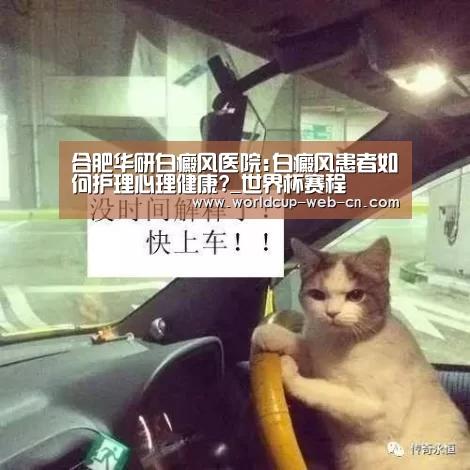 世界杯赛程