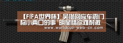 FIFA世界杯
