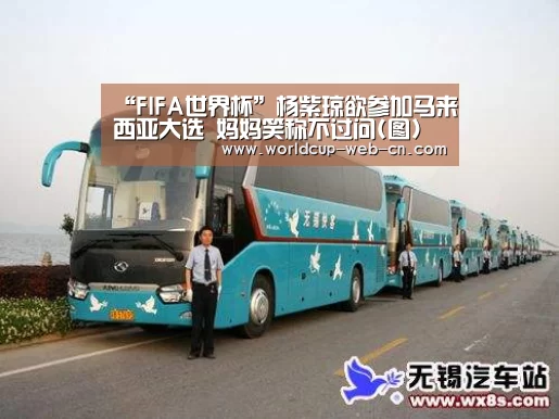 “FIFA世界杯”杨紫琼欲参加马来西亚大选 妈妈笑称不过问(图)(图2) 2026世界杯